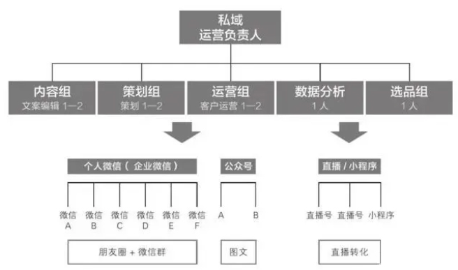 组织架构模型 私域用户运营